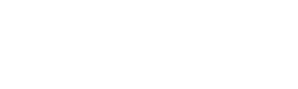 LOGO_PV-Steel_neg-weiss